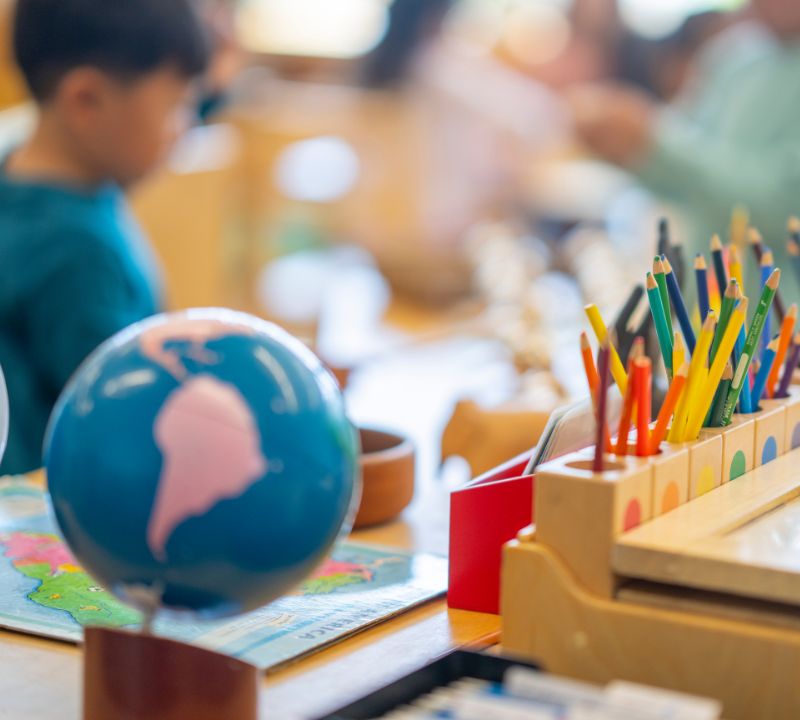 Gifted Screening and Identification Process