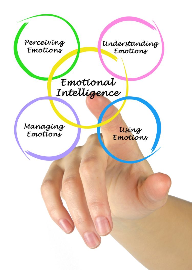 social emotional evaluation_
